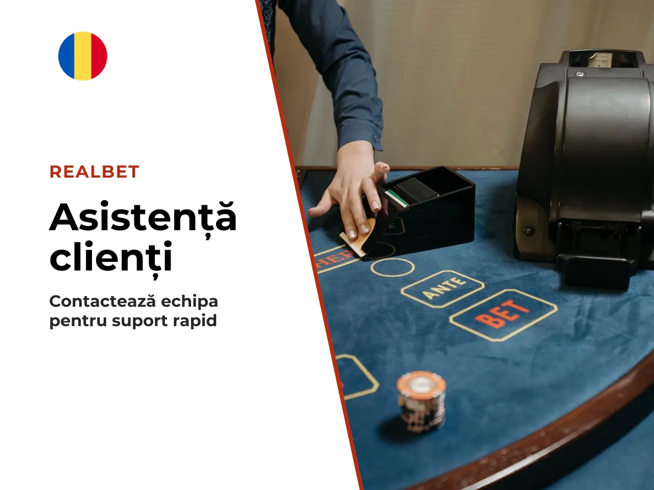 Cum consulți oferta Realbet înainte de